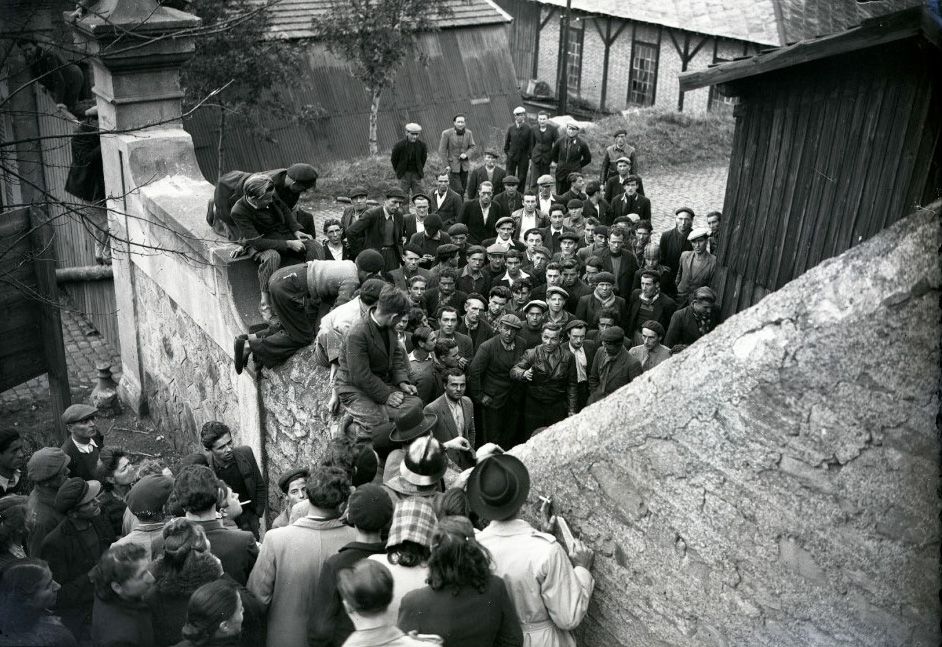 Dans l'œil des photographes